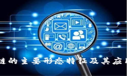 区块链的主要形态特征及其应用解析