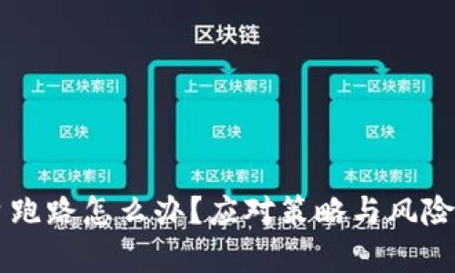 虚拟币平台跑路怎么办?应对策略与风险管理全解析