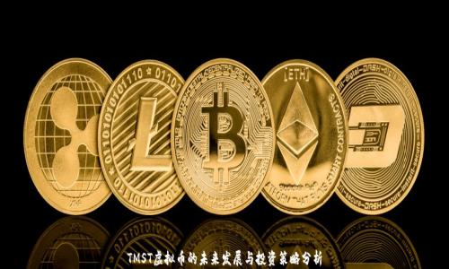 
TMST虚拟币的未来发展与投资策略分析