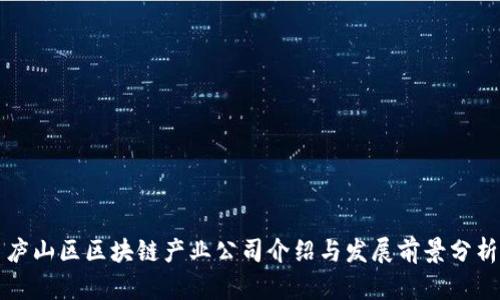 庐山区区块链产业公司介绍与发展前景分析