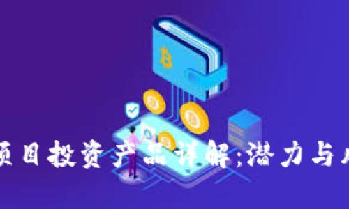 区块链项目投资产品详解:潜力与风险并存
