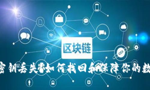 : imToken密钥丢失?如何找回和保障你的数字资产安全