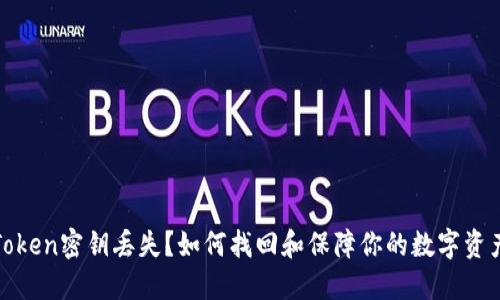 : imToken密钥丢失?如何找回和保障你的数字资产安全