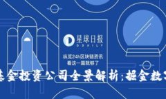 巴林区块链基金投资公司全景解析：掘金数字资