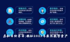虚拟币跆拳币：揭秘2023年最热数字资产