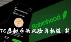  深入探讨GATC虚拟币的风险与机遇：新手投资者必