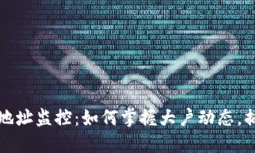 虚拟币大户地址监控:如何掌握大户动态,捕捉市场机遇