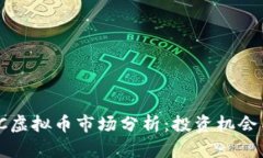 2023年VPC虚拟币市场分析：投资机会与风险并存