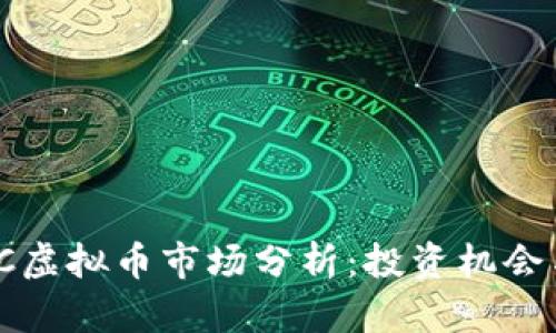 2023年VPC虚拟币市场分析：投资机会与风险并存