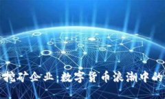 河北虚拟币挖矿企业：数字货币浪潮中的机遇与