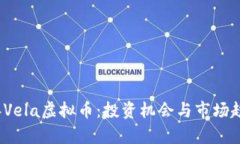 2023年Vela虚拟币：投资机会与市场趋势分析