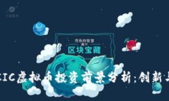 2023年DCIC虚拟币投资前景分析：创新与风险并存