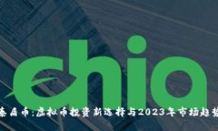 泰盾币：虚拟币投资新选择与2023年市场趋势