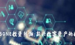 2023年虚拟币BONE投资热潮：新兴数字资产的投资机