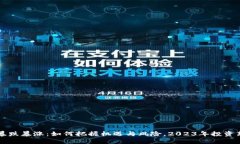虚拟币暴跌暴涨：如何把握机遇与风险，2023年投