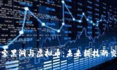 探索黑洞与虚拟币：未来科技的交集