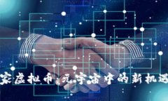 头号玩家虚拟币：元宇宙中的新机遇与挑战