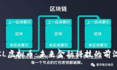 探讨PTCL虚拟币：未来金融科技的前沿与机遇