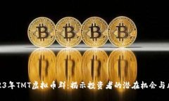 2023年TMT虚拟币群：揭示投资者的潜在机会与风险