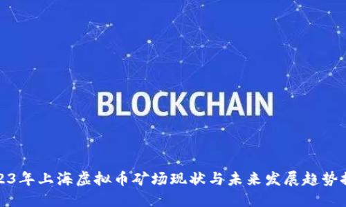 2023年上海虚拟币矿场现状与未来发展趋势探讨