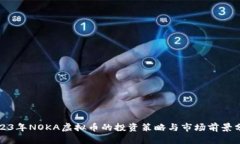 2023年NOKA虚拟币的投资策略与市场前景分析