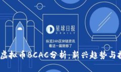 2023年虚拟币BCAC分析：新兴趋势与投资机会