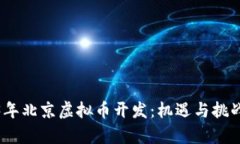 2023年北京虚拟币开发：机遇与挑战并存