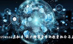 探索Westwood虚拟币：新兴数字货币的投资机会与未