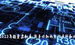 如何在2023年投资虚拟币：新手必知的热门币种和