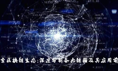 探索区块链生态:深度分析各大链圈及其应用前景