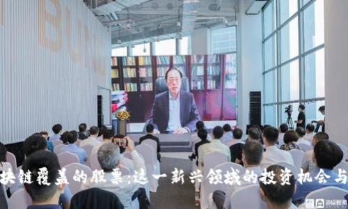 被区块链覆盖的股票:这一新兴领域的投资机会与风险