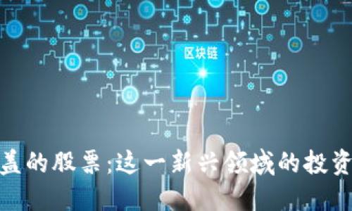 被区块链覆盖的股票:这一新兴领域的投资机会与风险