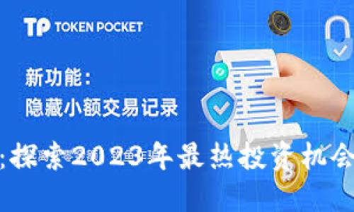 瀑布虚拟币:探索2023年最热投资机会与市场动态