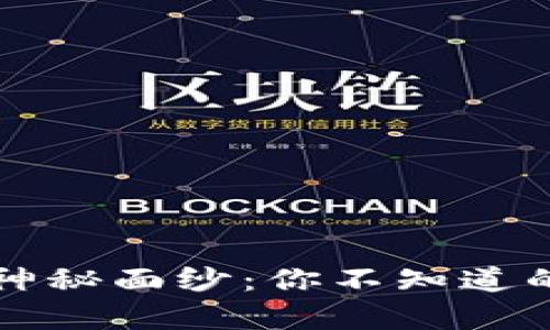 揭开区块链神秘面纱:你不知道的误解与真相