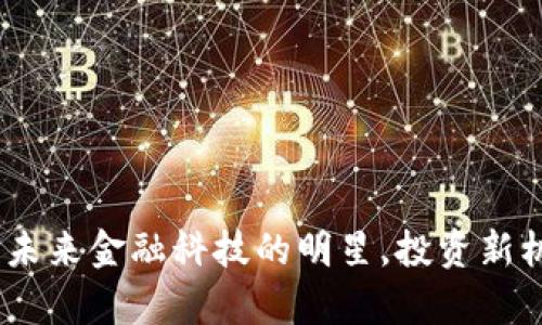 斯塔德虚拟币:未来金融科技的明星,投资新机会与风险并存