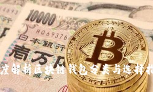 深度解析区块链钱包分类与选择指南