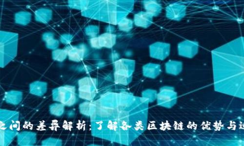 区块链之间的差异解析:了解各类区块链的优势与适用场景