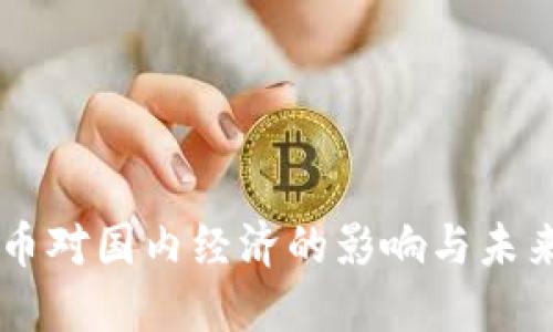 虚拟币对国内经济的影响与未来展望