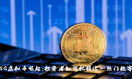2023年SSG虚拟币崛起:投资者如何把握这一热门数字资产机会