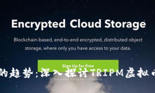 未来数字货币的趋势:深入探讨TRIPM虚拟币的潜力与应用