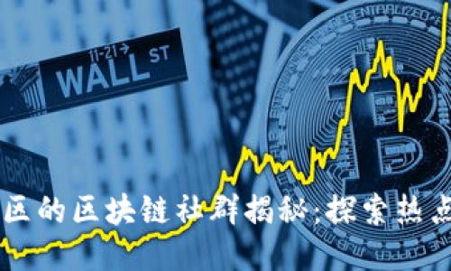 云南地区的区块链社群揭秘:探索热点与未来