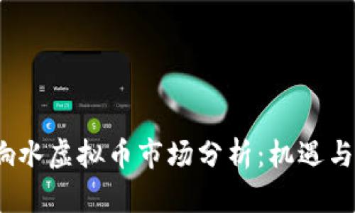 2023年响水虚拟币市场分析:机遇与挑战并存