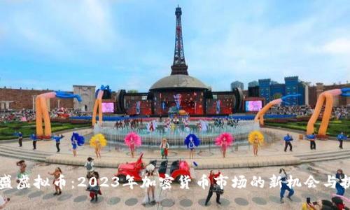 鼎盛虚拟币:2023年加密货币市场的新机会与挑战