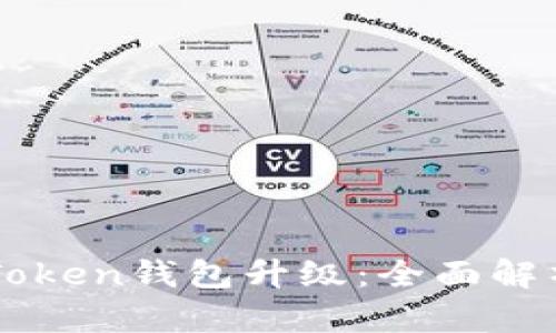 如何进行imToken钱包升级:全面解析与实用指南