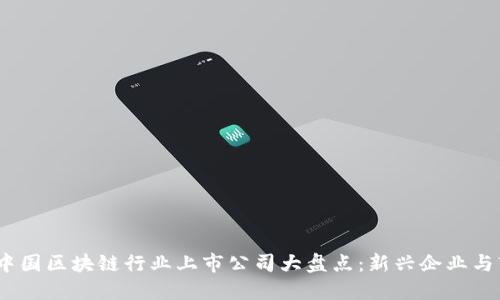2023年中国区块链行业上市公司大盘点：新兴企业与市场趋势