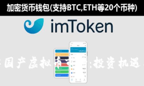 揭秘中国产虚拟币市场:投资机遇与风险