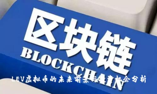 LEV虚拟币的未来前景与投资机会分析