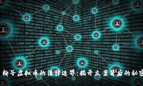 柳子虚拟币的法律边界:揭开立案背后的秘密