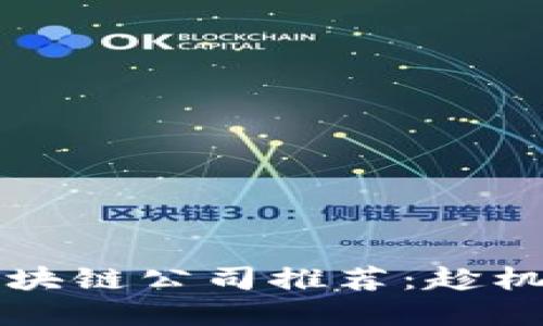 2023年最可靠的区块链公司推荐：趁机投资，赚取稳定收益