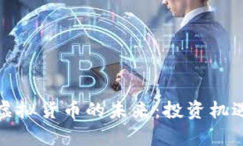 鑫金涛鑫币虚拟货币的未来:投资机遇与风险分析